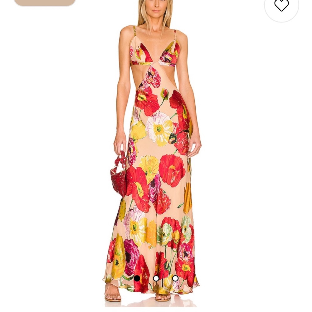 Cult Gaia dari gown painted floral
